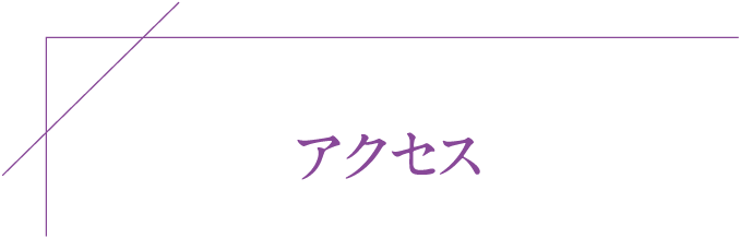 はなふさ皮膚科京都院アクセス